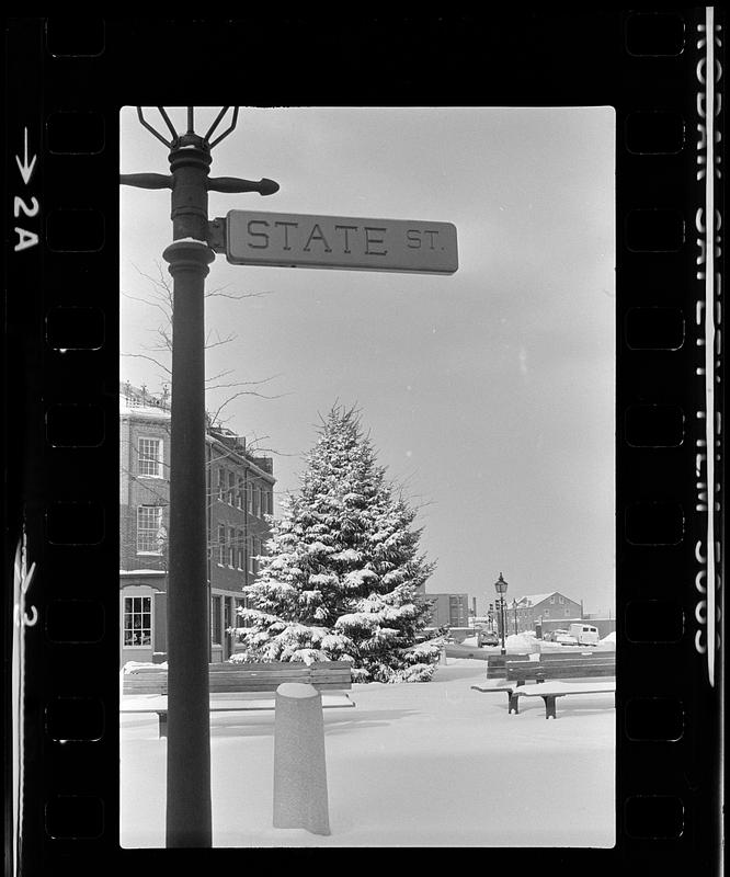 Market Square lights and snow