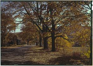 Autumn street scene, Old Deerfield