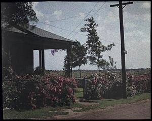 House and fence