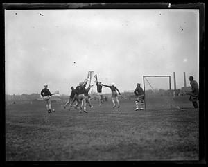 Lacrosse