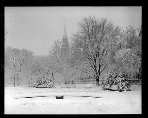 Snow covered trees and ground, steeple in background