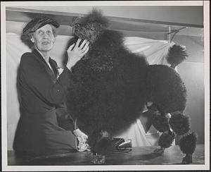 Boston dog best standard poodle