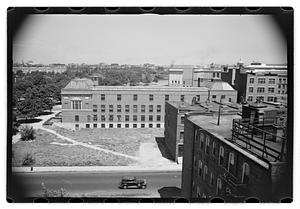 Black Forest and views from roof - Gertrude Sands