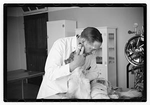 Dr. Dailey Angell Memorial Animal Hospital