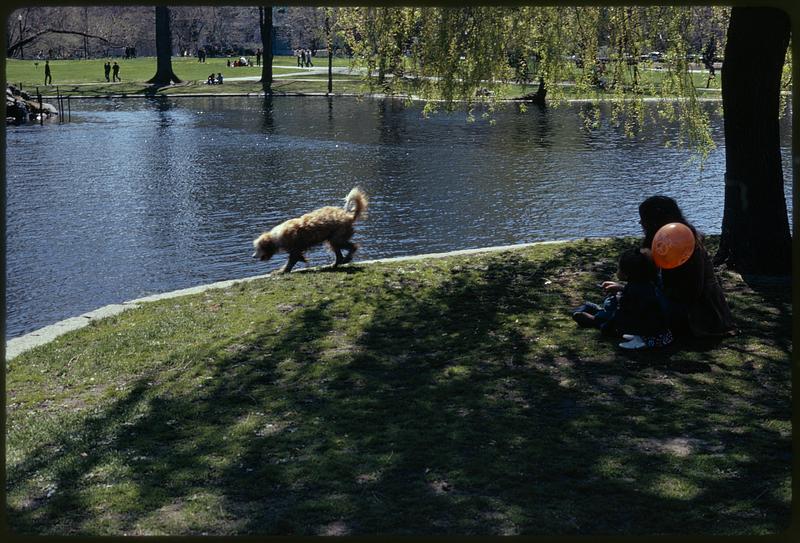 Public Garden/park in the heart of city