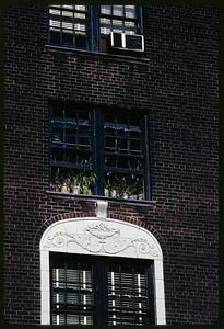 Plants in window, Manhattan, New York