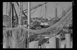 Studies in nets, Gloucester