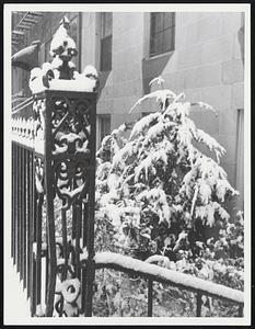Weather storms snow. Lower Beacon Hill