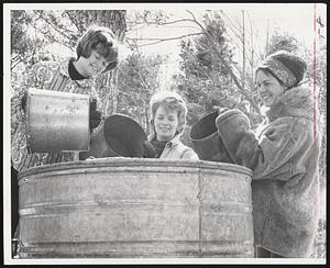 Syrup Production Line...Colby Junior College Girls Eagerly Join in Pouring Sap Into Vats. From Left: Susan Woodruf, Ashby; Virginia Flyod, Auburn; and Joanne Fox, Duxbury.