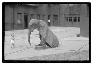 Boston Park Department Circus