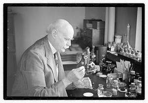 Dr. Frank Burr Mallory, pathologist
