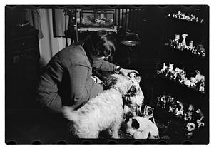 Miss Liddie A Livevey, collector of miniature dogs, 400, 1 live one