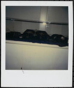 Display of items