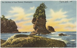 The Old Man of Cape Flattery, Washington