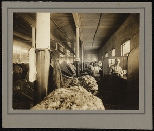 Pacific Mills wool store January 1914