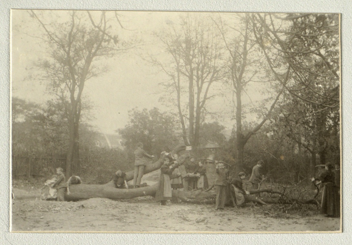 Children exploring a fallen tree, Imperial Royal Institute for the Education of the Blind, Vienna