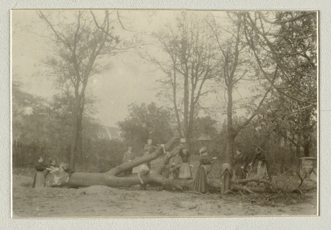 Children exploring a fallen tree, Imperial Royal Institute for the Education of the Blind, Vienna