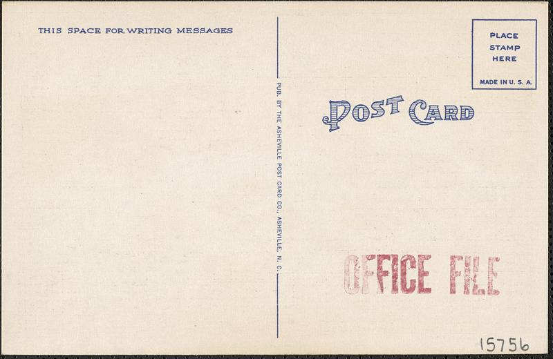 415. A beautiful Southern scene. Azaleas, Live Oaks and Spanish Moss.