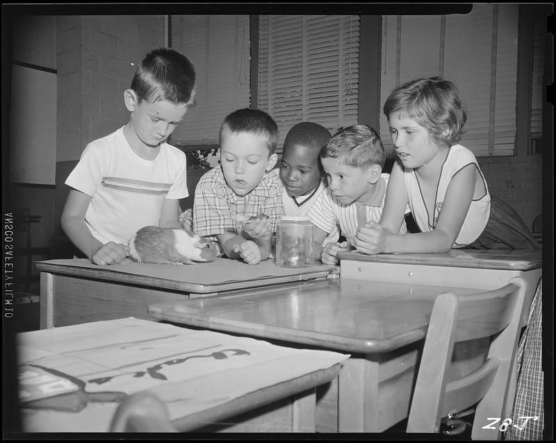 Children with a guinea pig