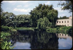 Tree & house, Muddy River