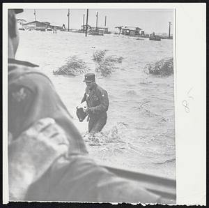 National Guardsman from Louisiana wades through water at Holly Beach, La., to save pig from Hurricane Carla flood waters.