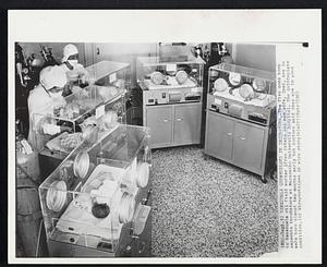 Venezuela Quintuplets in Incubators--The five sons born to Venezuela oil field worker Efren Prieto and his wife, Inez, are in separate incubators at Maracaibo University Hospital. The quintuplets were born almost two months early but doctors said they are in good condition.