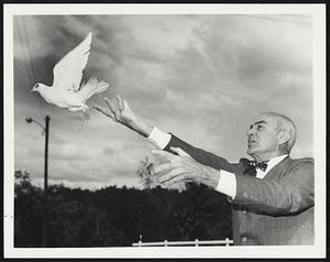 A carrier pigeon with a message addressed to President Johnson is sent on its way by Thomas Boylston Adams, candidate for congress from the 3rd congressional district (9/11). The message tied to the pigeon's leg and addressed to the president read "Stop the stupid war." Adams is a direct descendant of two U.S. Presidents, and has a son now serving in Vietnam as a Lieutenant in the Army.