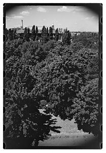 Black Forest and views from roof - Gertrude Sands