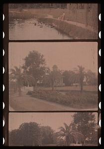 Unidentified building in background, palm trees and flowers in the foreground
