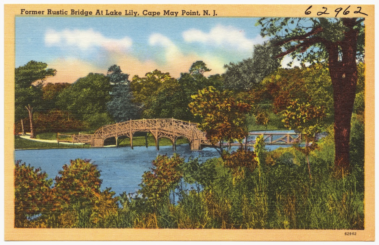 Former rustic bridge at Lake Lily, Cape May Point, N. J.