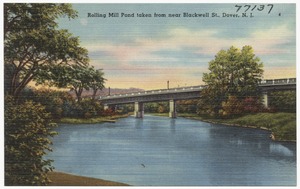 Rolling Mill Pond taken from near Blackwell St., Dover, N.J.