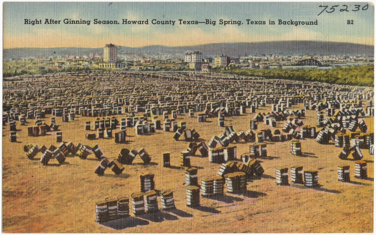 Right after Ginning Season, Howard County Texas -- Big Spring, Texas in background