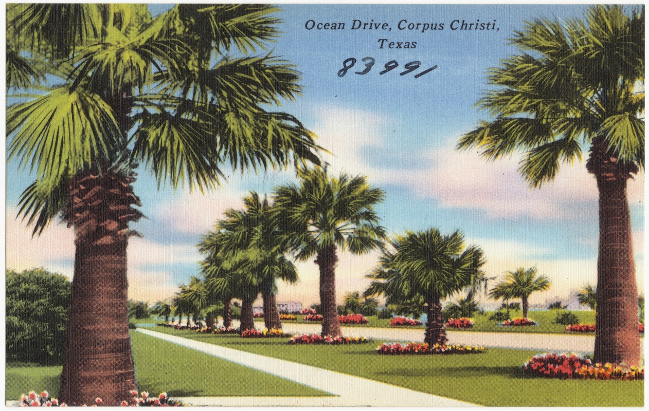 Ocean Drive, Corpus Christi, Texas - Digital Commonwealth