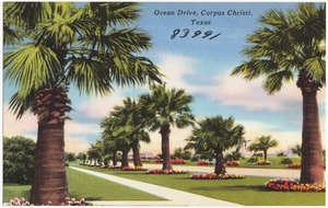 Ocean Drive, Corpus Christi, Texas