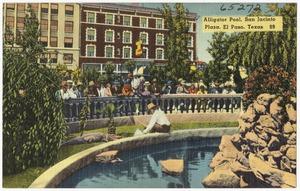 Alligator Pool, San Jacinto Plaza, El Paso, Texas, 89