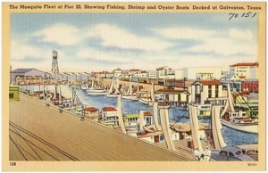 The Mosquito Fleet at Pier 20, showing fishing, shrimp and oyster boats docked at Galveston, Texas