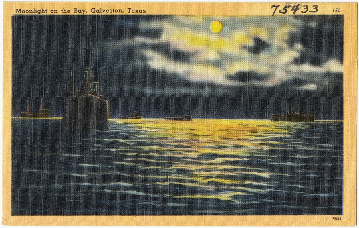 Moonlight on the bay, Galveston, Texas