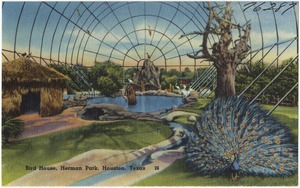 Birds house, Herman Park, Houston, Texas