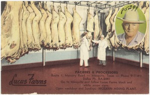 Lucas Farms