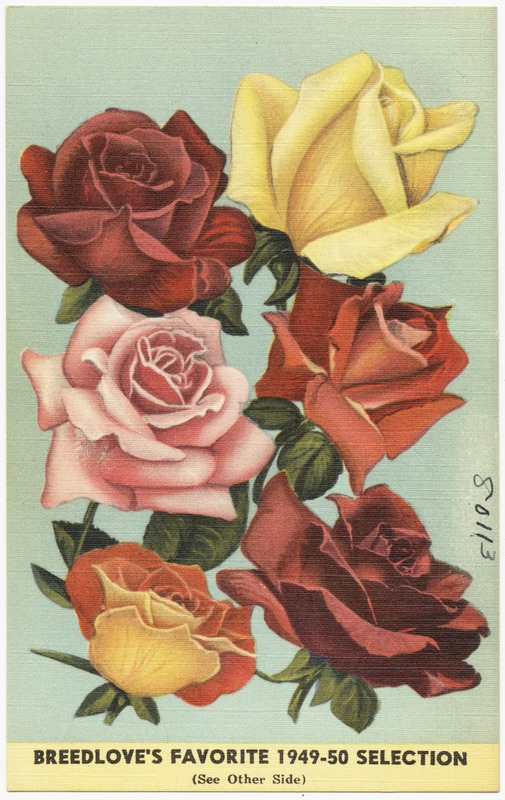 Breedlove's favorite 1949-50 selection
