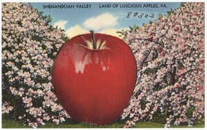 Shenandoah Valley, land of luscious apples, VA.