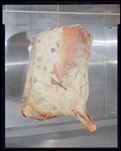 Forequarter