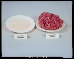 Soy protein concentrate, ground beef soy added
