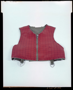 IPL, vest coordinate