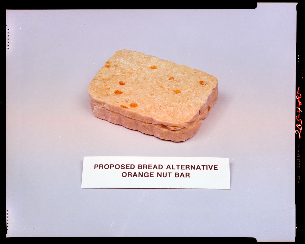 Proposed bread alternative, orange nut bar