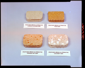 Proposed bread alternative, cheese-flavored bar, pizza bar, orange nut bar, coconut bar