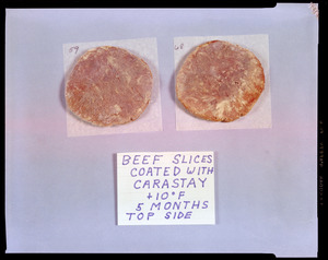 Beef slices coated with Carastay +10 degrees F, 5 months top side