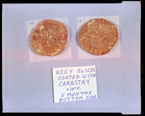 Beef slices coated with Carastay +10 degrees F, 5 months bottom side
