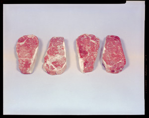 Food lab, beef loin strip