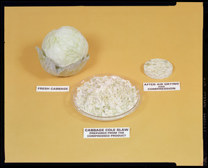 Fresh cabbage, cabbage cole slaw prepared from the compressed product, after air drying and compression